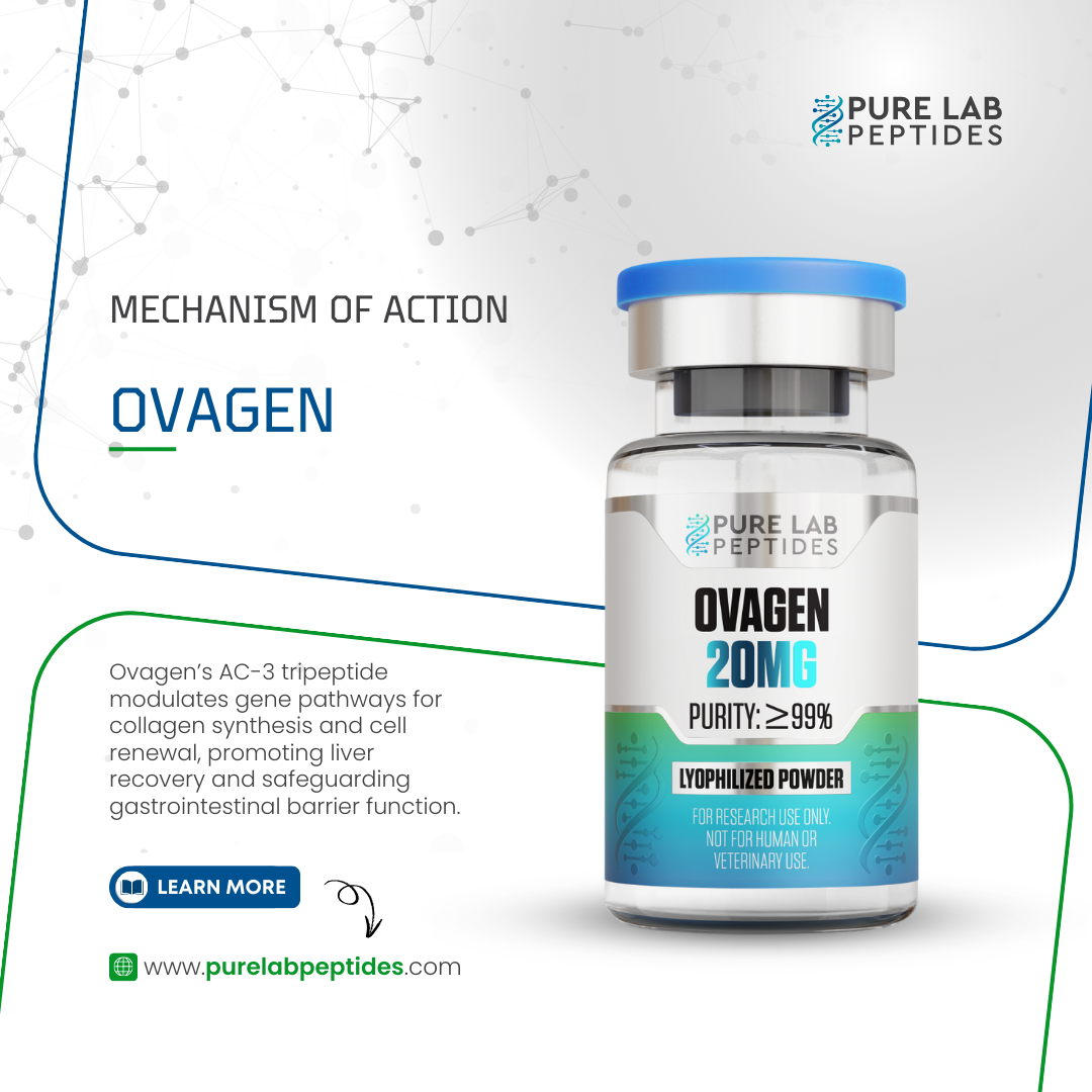 p-1775052559751-x-52-4